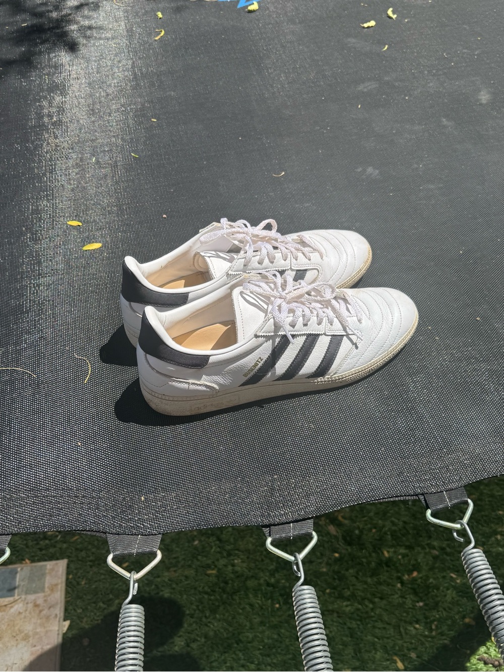 Adidas Busenitz Classic White & Black Sneakers